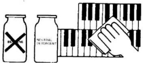 BEETONE NEUTRAL DETERGENT