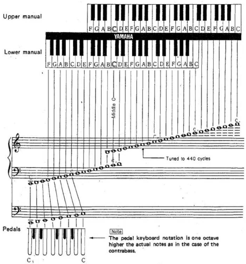 Upper manual F G A B C D E F G A B C D E F G A B C D E F G A B C YAMAHA Lower manual F G A B C D E F G A B C D E F G A B C Middle C Tuned to 440 cycles Pedals Note The pedal keyboard notation is one octave higher the actual notes as in the case of the contrabass.