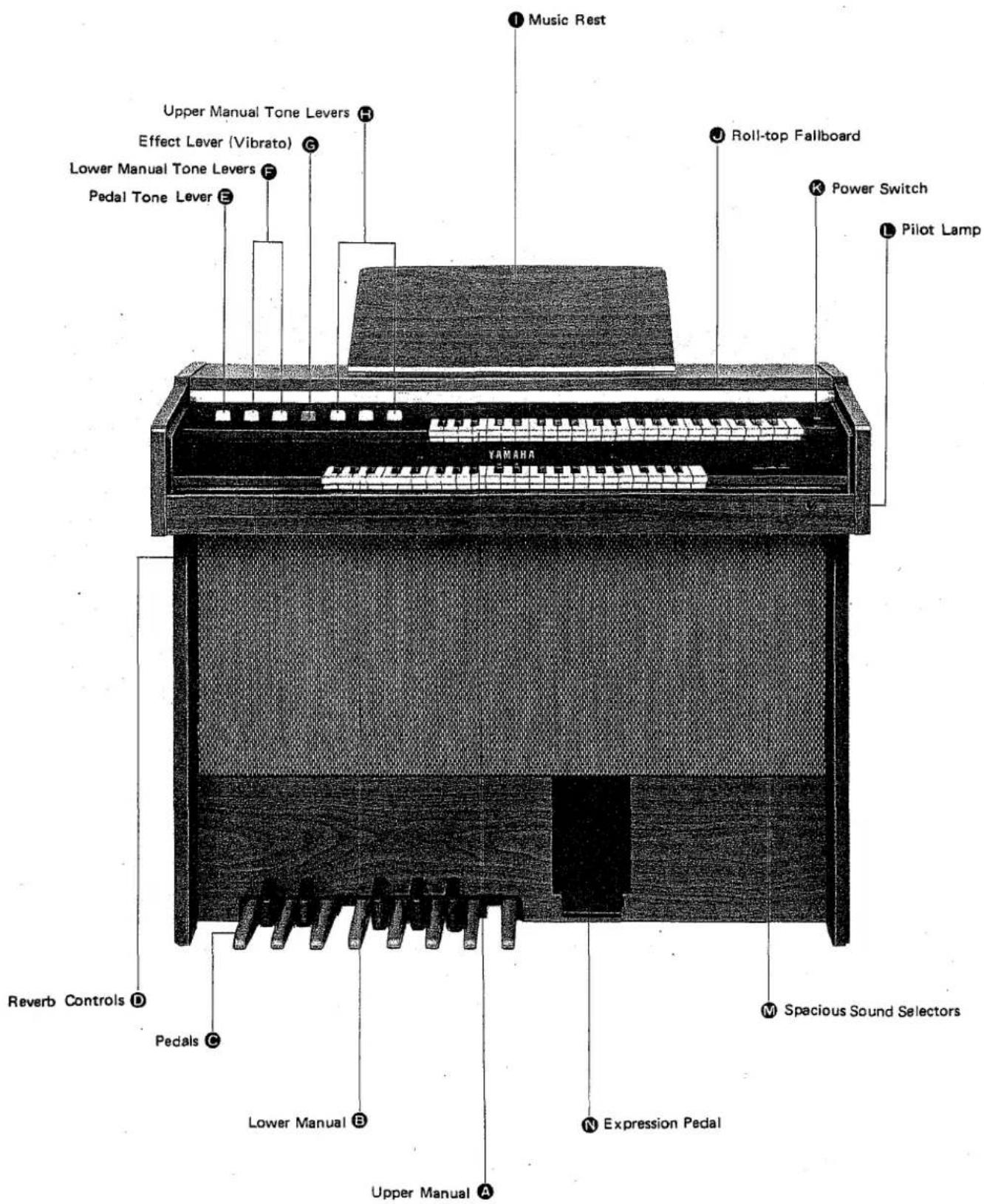 Music Rest Upper Manual Tone Levers H Effect Lever (Vibrato) C Lower Manual Tone Levers F Pedal Tone Lever E Roll-top Fallboard Power Switch Pilot Lamp Reverb Controls D Pedals C Spacious Sound Selectors Lower Manual B Expression Pedal Upper Manual A