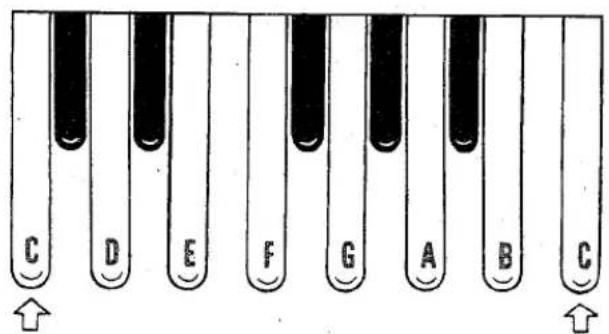 C D E F G A B C