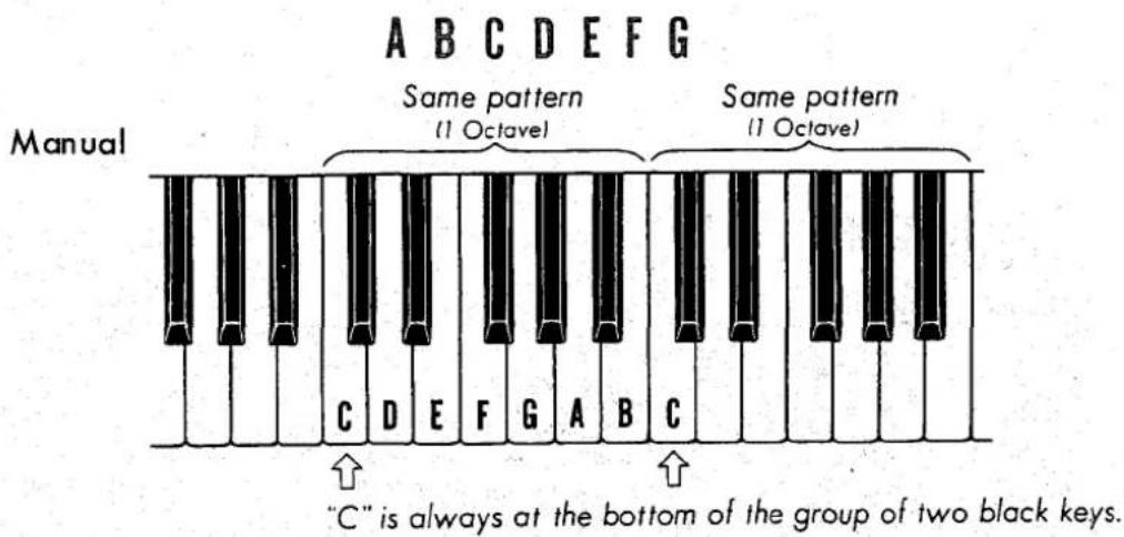 A B C D E F G A B C Same pattern (1 Octave) Same pattern (1 Octave) Manual C D E F G A B C "C" is always at the bottom of the group of two black keys.