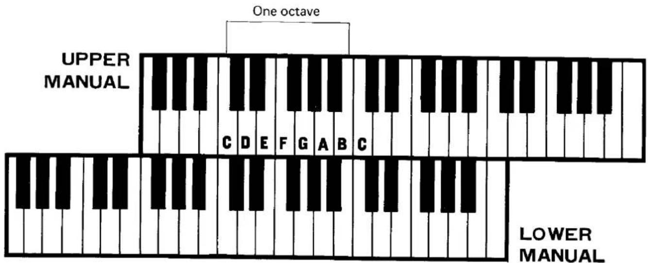 UPPER MANUAL One octave C D E F G A B C LOWER MANUAL