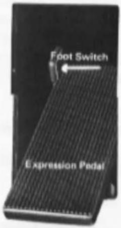 Foot Switch Expression Pedal