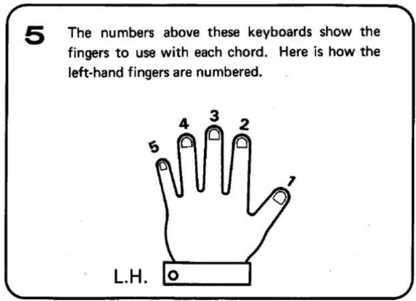 5 The numbers above these keyboards show the fingers to use with each chord. Here is how the left-hand fingers are numbered. L.H.