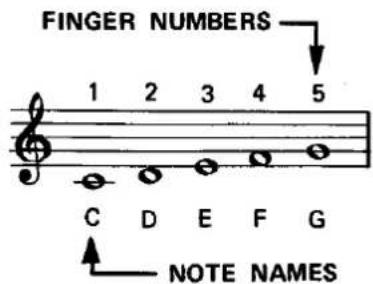 FINGER NUMBERS 1 2 3 4 5 C D E F G NOTE NAMES