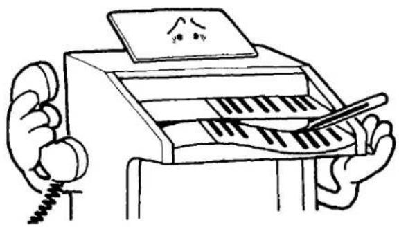 YAMAHA Electone BK-20C - Read the following before playing - 2