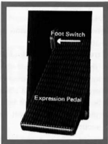 Foot Switch Expression Pedal