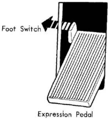 Foot Switch Expression Pedal