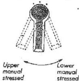 Upper manual stressed Lower manual stressed