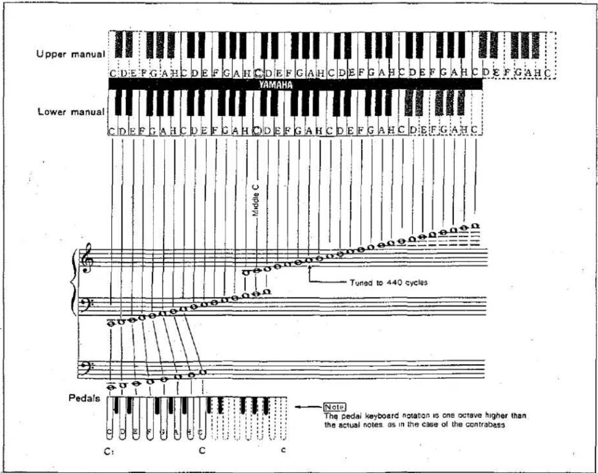 Upper manual C D E F G A H C D E F G A H C D E F G A H C D E F G A H C D E F G A H C YAMAHA Lower manual C D E F G A H C D E F G A H C D E F G A H C D E F G A H C Middle C Tuned to 440 cycles Pedals C D E F G A H C Note The pedal keyboard notation is one octave higher than the actual notes. as in the case of the contrabass