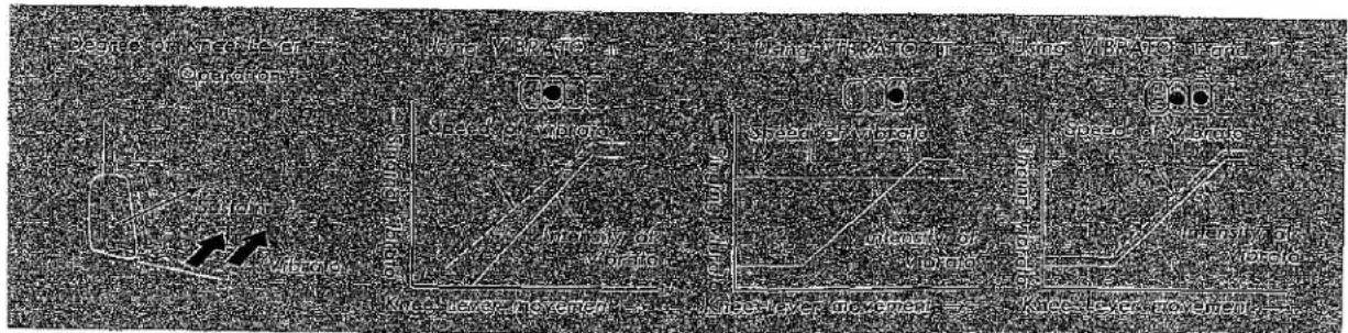 Deep C of the River Grunan High VBA FO Long RAVO T High VBA FO Long T Speed of VBAO Horizontal Br Vertical movement Speed of VBAO Horizontal Br Vertical movement