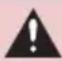 LEXUS RX 350 (2015) - CAUTION - 1