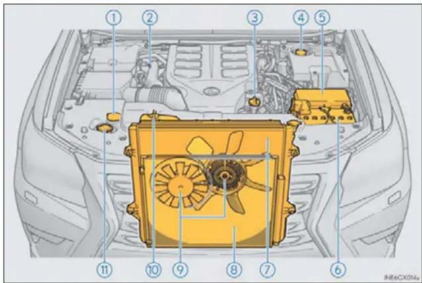 Diagram of car engine components with numbered parts for identification