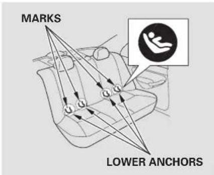 MARKS LOWER ANCHORS