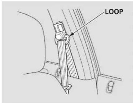 LOOP