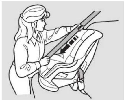 Honda Civic Hybrid (2004) - Installing a Child Seat with a Lap/Shoulder Belt - 2