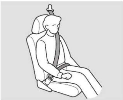 Honda Civic Hybrid (2004) - Shoulder Seat Belts - 1