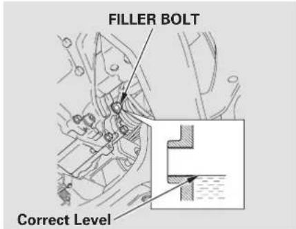 FILLER BOLT Correct Level