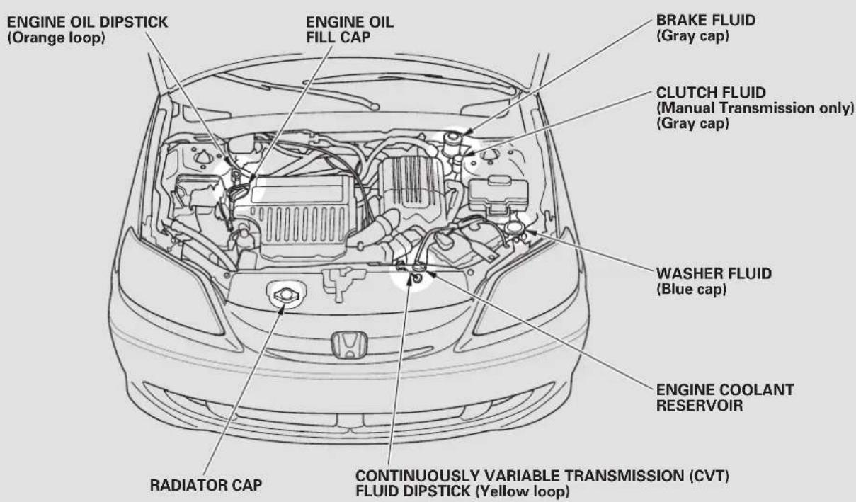 ENGINE OIL DIPSTICK (Orange loop) ENGINE OIL FILL CAP BRAKE FLUID (Gray cap) CLUTCH FLUID (Manual Transmission only) (Gray cap) WASHER FLUID (Blue cap) ENGINE COOLANT RESERVOIR RADIATOR CAP CONTINUOUSLY VARIABLE TRANSMISSION (CVT) FLUID DIPSTICK (Yellow loop)