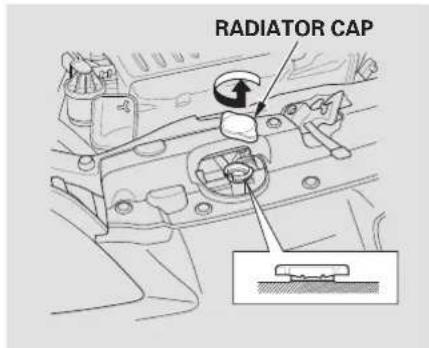 RADIATOR CAP