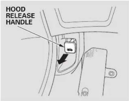 HOOD RELEASE HANDLE