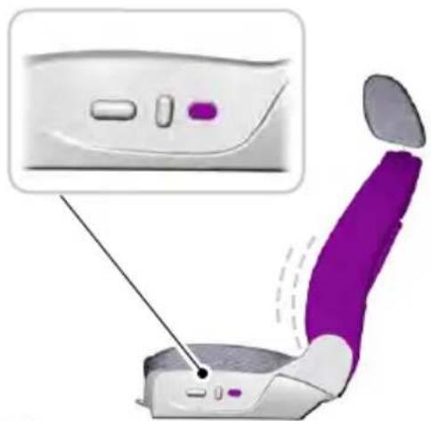 Illustration of a car seat with purple seat highlighted, showing no text or symbols on the seat or background.
