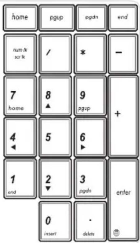 home pgup pgdn end num & scr lk / * - 7 home 8 9 pgup + 4 5 6 1 end 2 3 pgdn enter 0 insert . delets
