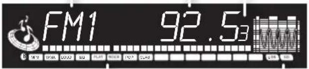 Xomax XM-RSU250B - Radio-Display - 1