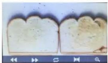 Two slices of bread with visible crust and flour, served on a flat surface (no text or symbols)
