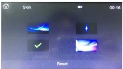 Skin 00:16 Reset