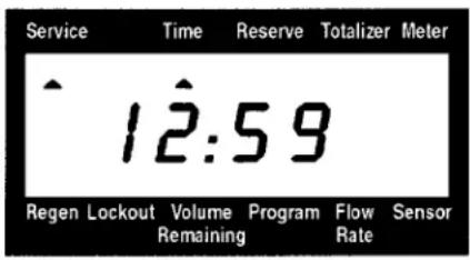 Service Time Reserve Totalizer Meter ^ 12:59 Regen Lockout Volume Program Flow Sensor Remaining Rate