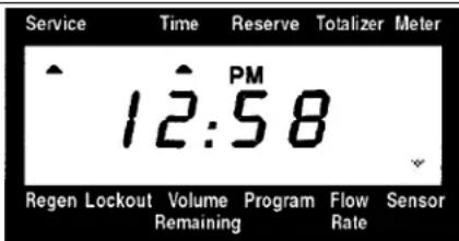 Service Time Reserve Totalizer Meter 12:58 Regen Lockout Volume Program Flow Sensor Remaining Rate