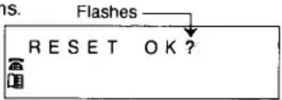 ns. Flashes RESET OK?
