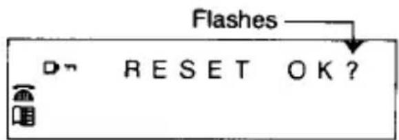 Flashes D# RESET OK?