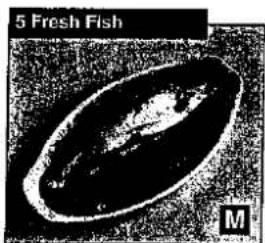 Mikroskopisches Bild einer einzelnen ovalen biologischen Struktur, beschriftet mit '5 Frischer Fisch', mit Maßstabsmarkierung 'M' (kein anderer Text oder Symbole)