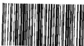 Schwarz-weißes Barcode-Bild mit vertikalen Linien, kein lesbarer Text oder Symbole