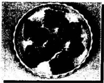 Schwarz-Weiß-Bild, kreisförmig, mit abstrakten dunklen Formen und weißem Rand, ähnlich einem stilisierten Globus oder einer Wolke (kein Text oder Symbole)