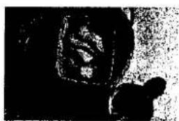 Schwarz-weißes Foto einer Person im Profil, kein sichtbarer Text oder Symbole