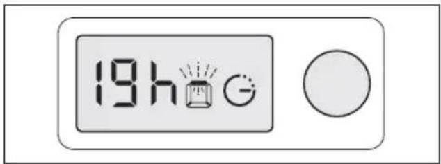 19h G