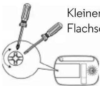 Kleiner Flachse