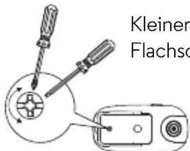 Kleiner Flachsd
