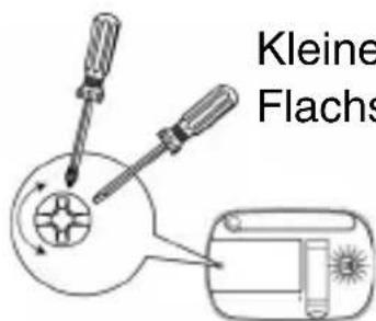 Kleine Flachs