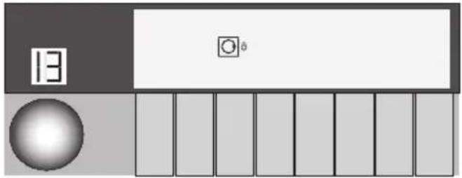 13