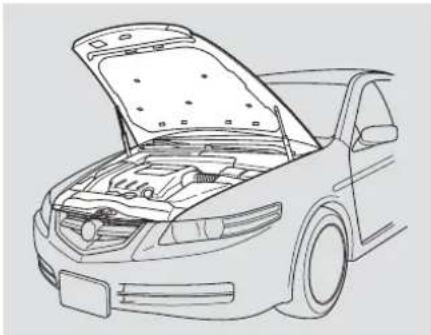 Acura TL (2006) - Opening and Closing the Hood - 3