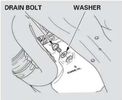 DRAIN BOLT WASHER