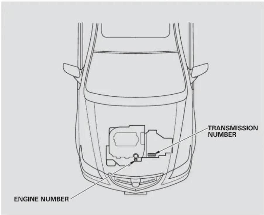 TRANSMISSION NUMBER ENGINE NUMBER