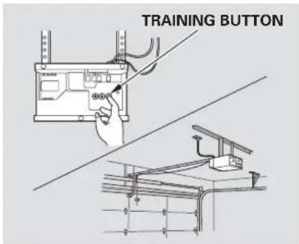 TRAINING BUTTON