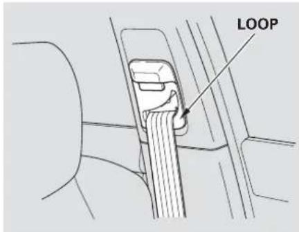 LOOP