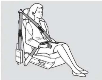 Acura TL (2006) - Automatic Seat Belt Tensioners - 1