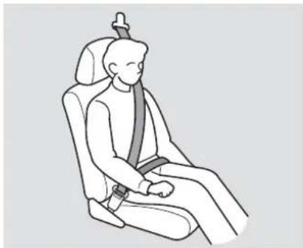 Acura TL (2006) - 5.Fasten and Position the Seat Belts - 1